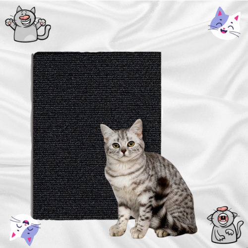 Griffoir Pour Chat