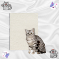 Griffoir Pour Chat