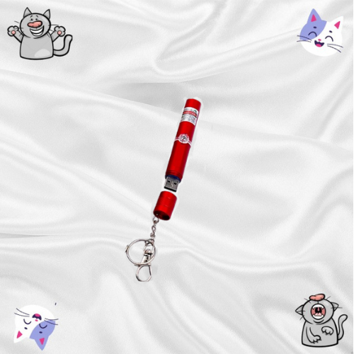 Laser Pour Chat En Porte-Clef