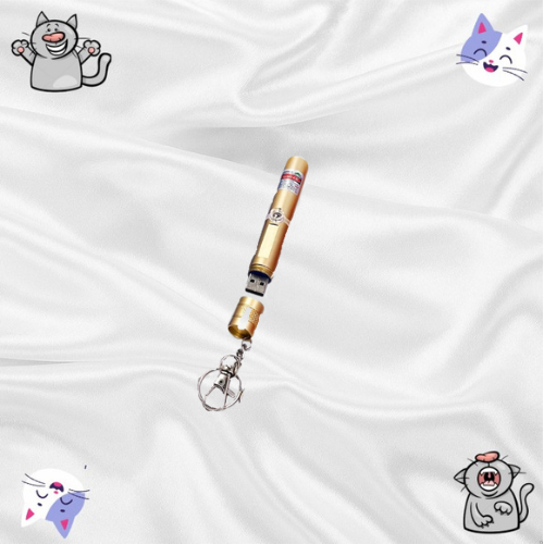 Laser Pour Chat En Porte-Clef