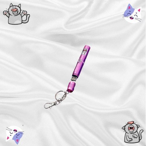 Laser Pour Chat En Porte-Clef