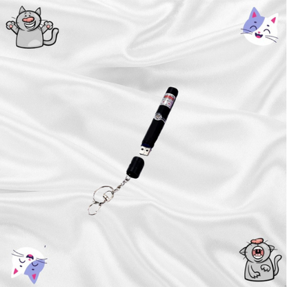 Laser Pour Chat En Porte-Clef