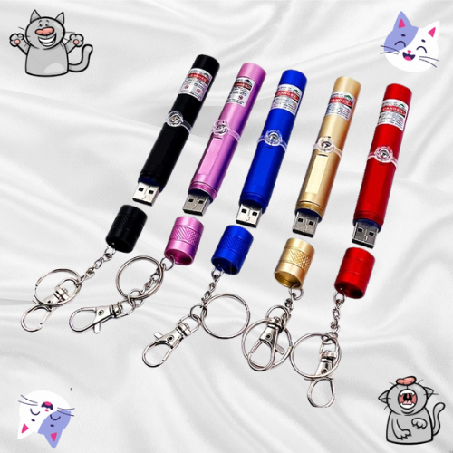 Laser Pour Chat En Porte-Clef