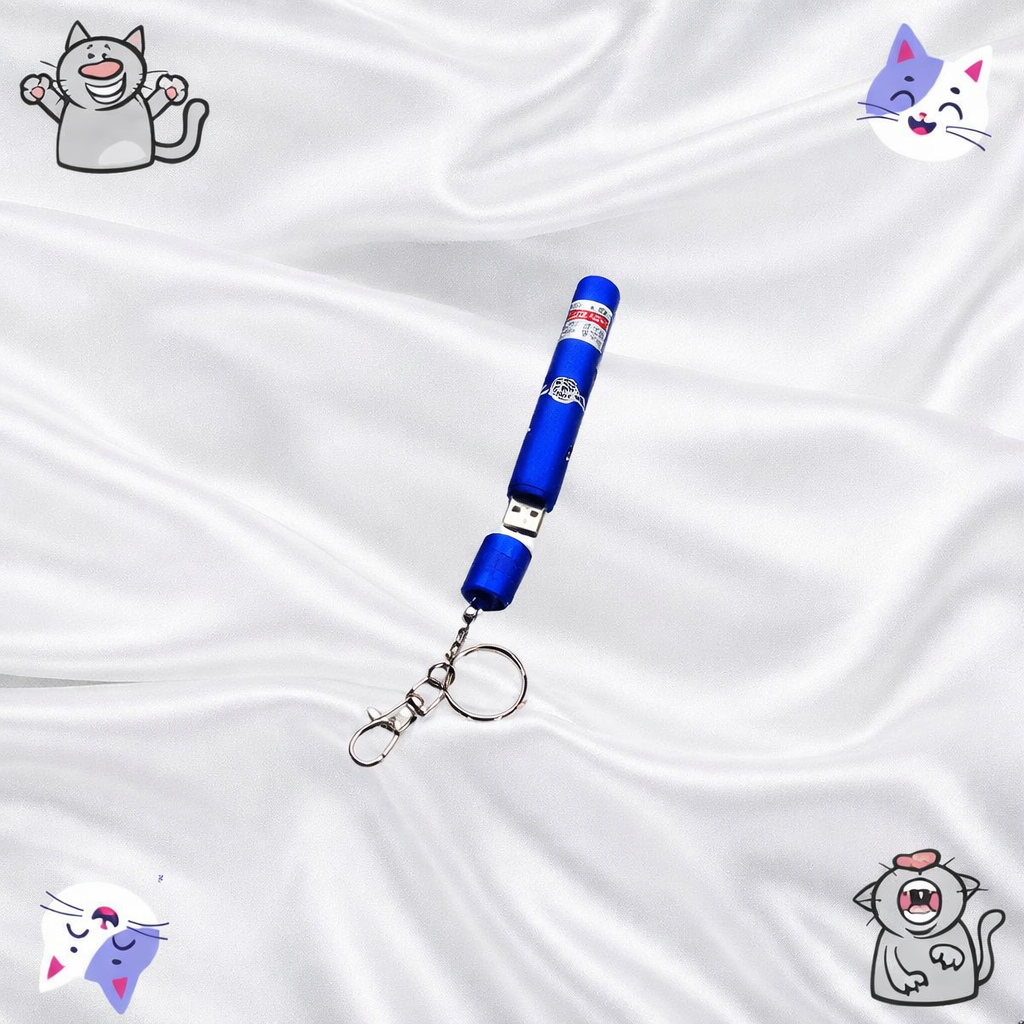 Laser Pour Chat En Porte-Clef